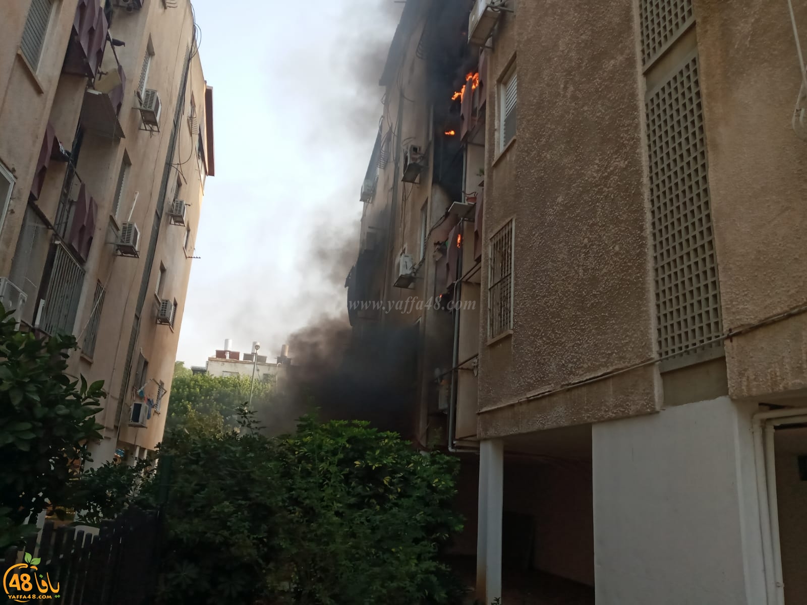   فيديو: حريق داخل بناية سكنية بيافا يتسبب بأضرار مادية لخمس شقق